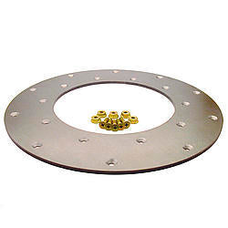 Fidanza Flywheel Insert Plate